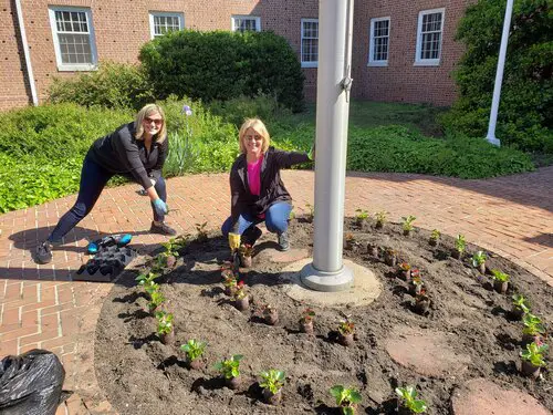 Downtown Inc and the Garden Club of York Beautify Downtown with Seasonal Plantings