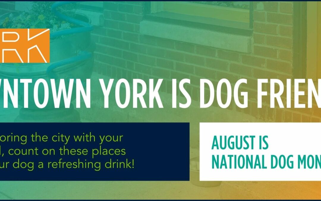 Downtown York is Dog Friendly: National Dog Month